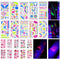 PFARRER 20 Sheet Glow in The Dark Neon Temporary Tattoos/Tattoo Stencils