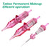 Diamond Wireless Pmu Eyebrow Machine Kit with 10 Pcs Needle Cartridges
