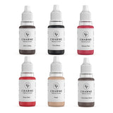 Permanent Makeup Pigment Kit